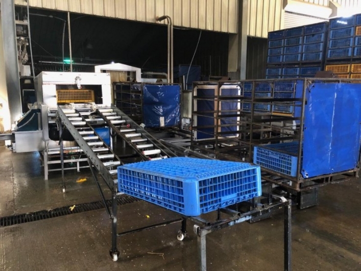 Anglia Autoflow EASYLOAD for live chickens - 2016