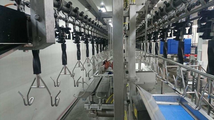 Chicken processing machinery