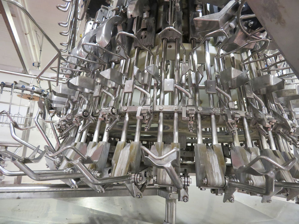 Evisceration Machine