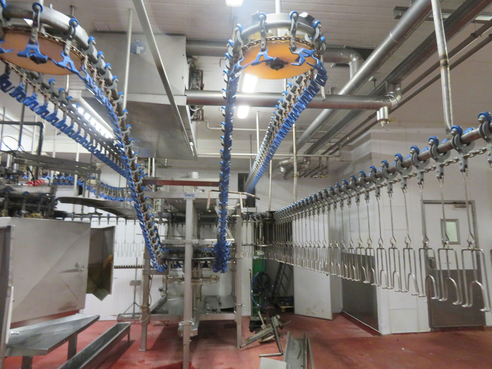 Evisceration Machine