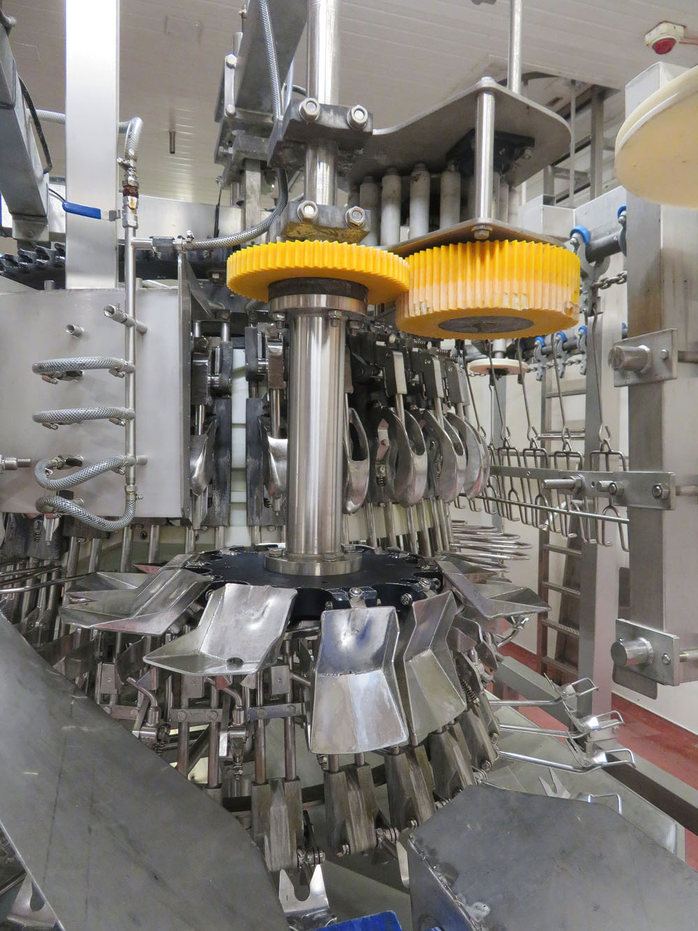 Evisceration Machine